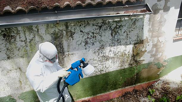 Trusted Commercial Mold Remediation service in Port Matilda, PA - Cheap Mold Removal